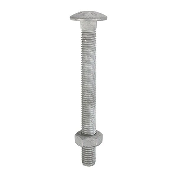 MultiScrew Business, Office & Industrial:Fasteners & Hardware:Other Fasteners & Hardware M10 (10mm) GALVANISED CUP SQUARE CARRIAGE BOLTS COACH SCREW FULL HEX NUT DIN603