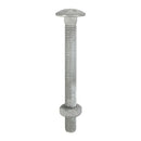 MultiScrew Business, Office & Industrial:Fasteners & Hardware:Other Fasteners & Hardware M12 GALVANISED CUP SQUARE CARRIAGE BOLTS COACH SCREW FULL HEX NUT 12mm DIN603