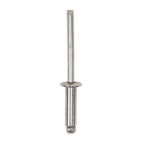 TIMCO Fasteners & Fixings 3.2 x 6 / 102 TIMCO Rivets Dome Head A2 Stainless Steel