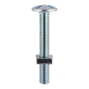 TIMCO Fasteners & Fixings M6 x 100 / 2 / TIMpac TIMCO Roofing Bolts & Square Nuts Silver