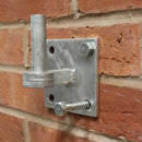 TIMCO Fasteners & Fixings TIMCO Coach Screw & Nylon Plugs Zinc