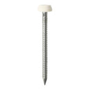 TIMCO Nails 25mm / 65 TIMCO Polymer Headed Pins A4 Stainless Steel White