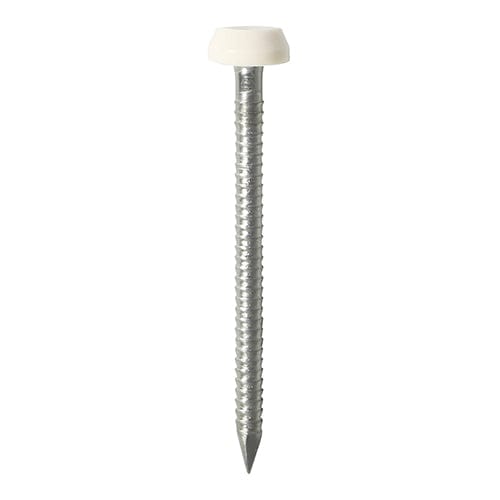 TIMCO Nails 25mm / 65 TIMCO Polymer Headed Pins A4 Stainless Steel White