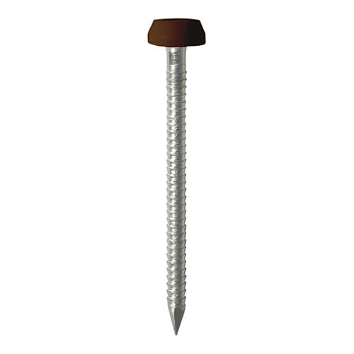 TIMCO Nails 25mm TIMCO Polymer Headed Pins A4 Stainless Steel Mahogany