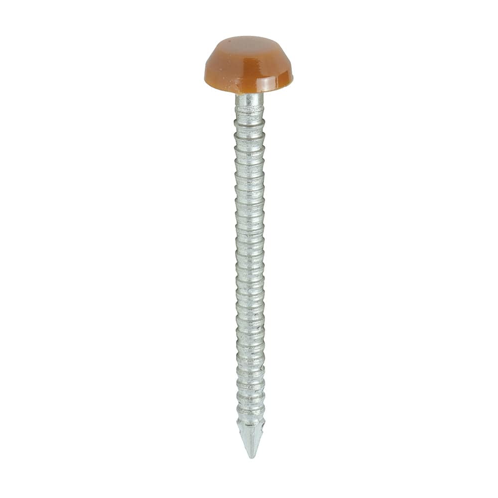 Timco Polymer Headed Pin A4 Stainless Steel Clay Brown - Pack Qty - 250 Pcs