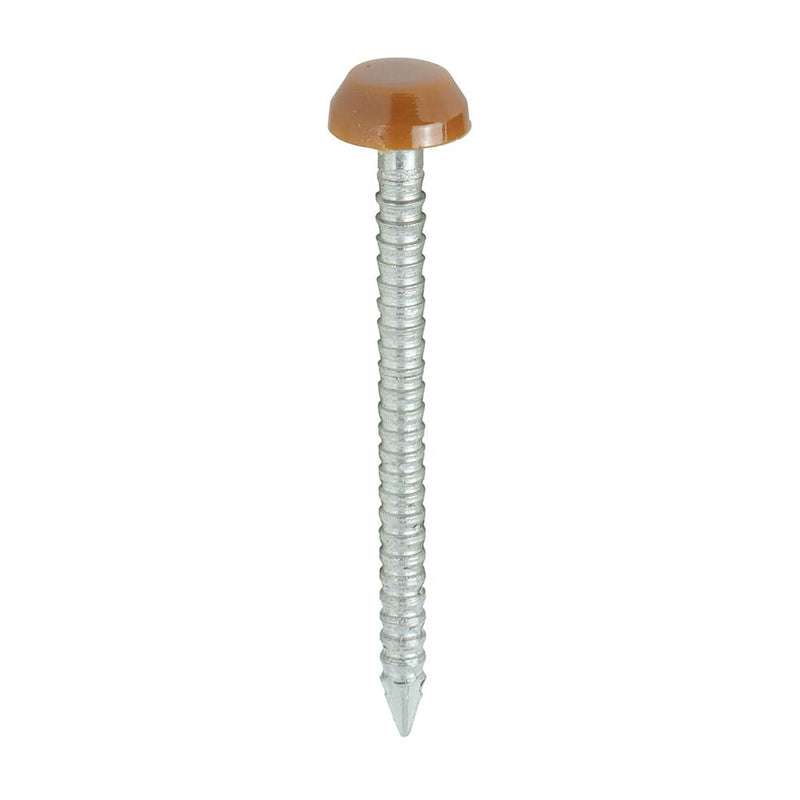 TIMCO Nails 30mm TIMCO Polymer Headed Pin A4 Stainless Steel Clay Brown