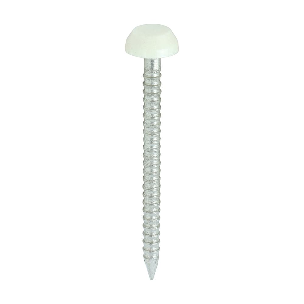 Timco Polymer Headed Pin A4 Stainless Steel Cream - Pack Qty - 250 Pcs