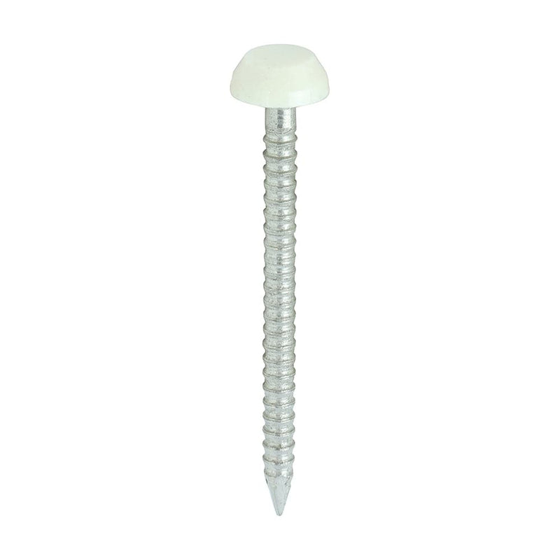 TIMCO Nails 30mm TIMCO Polymer Headed Pin A4 Stainless Steel Cream