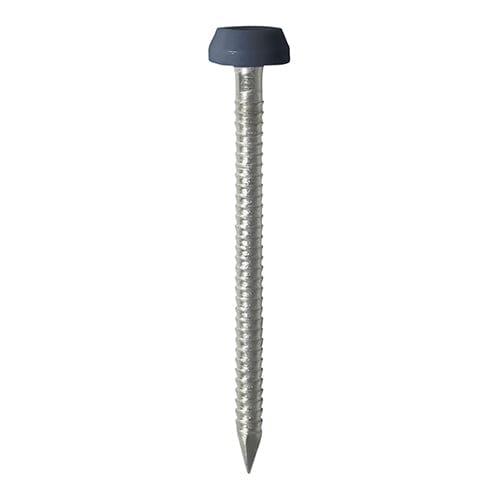 TIMCO Nails 30mm TIMCO Polymer Headed Pins A4 Stainless Steel Anthracite Grey