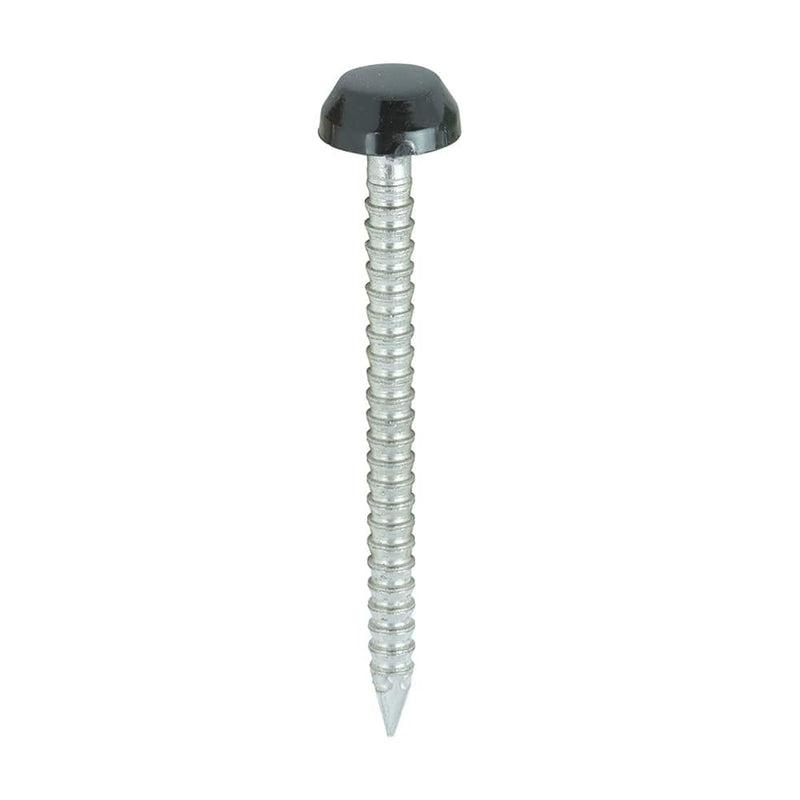 TIMCO Nails 30mm TIMCO Polymer Headed Pins A4 Stainless Steel Black