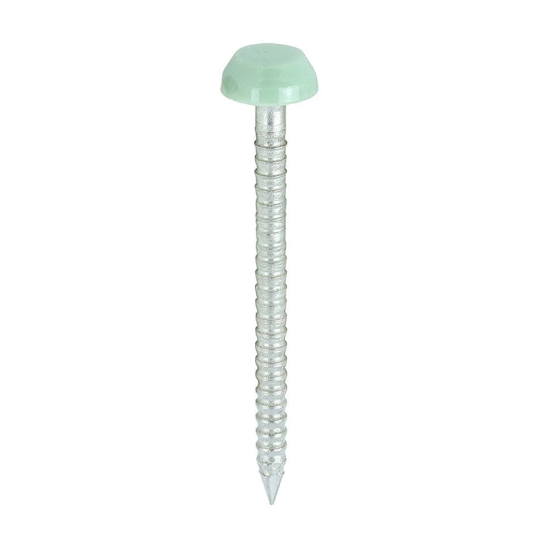 TIMCO Nails 30mm TIMCO Polymer Headed Pins A4 Stainless Steel Chartwell Green