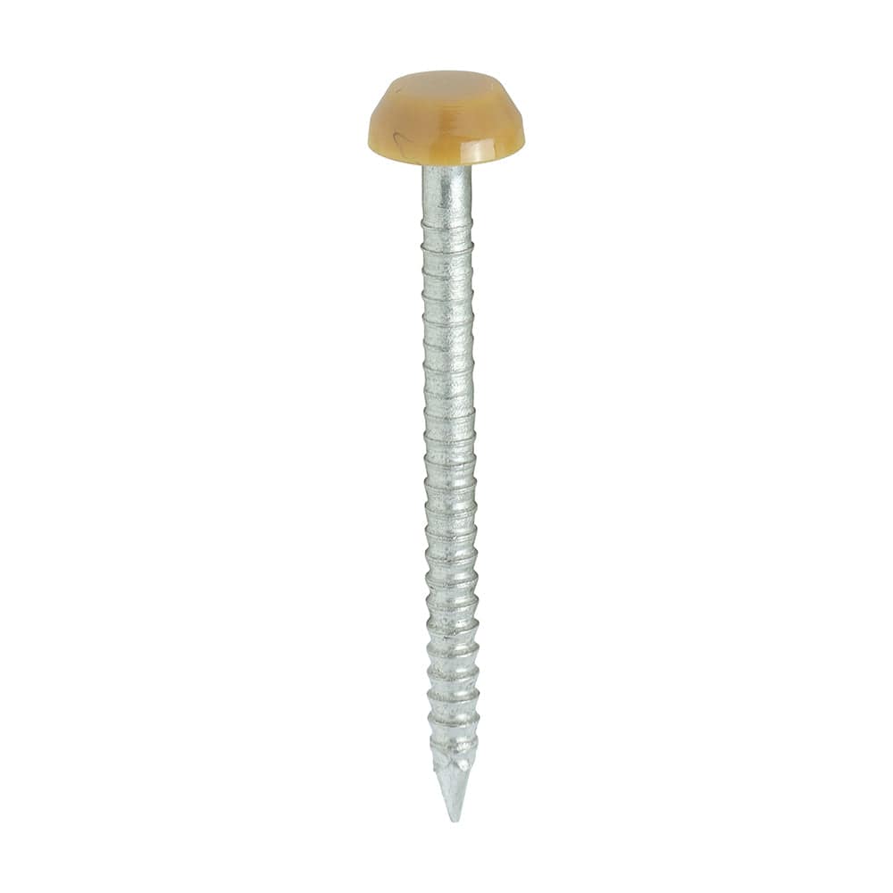 Timco Polymer Headed Pins A4 Stainless Steel Oak - Pack Qty - 250 Pcs