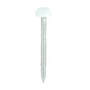 TIMCO Nails 30mm TIMCO Polymer Headed Pins A4 Stainless Steel White