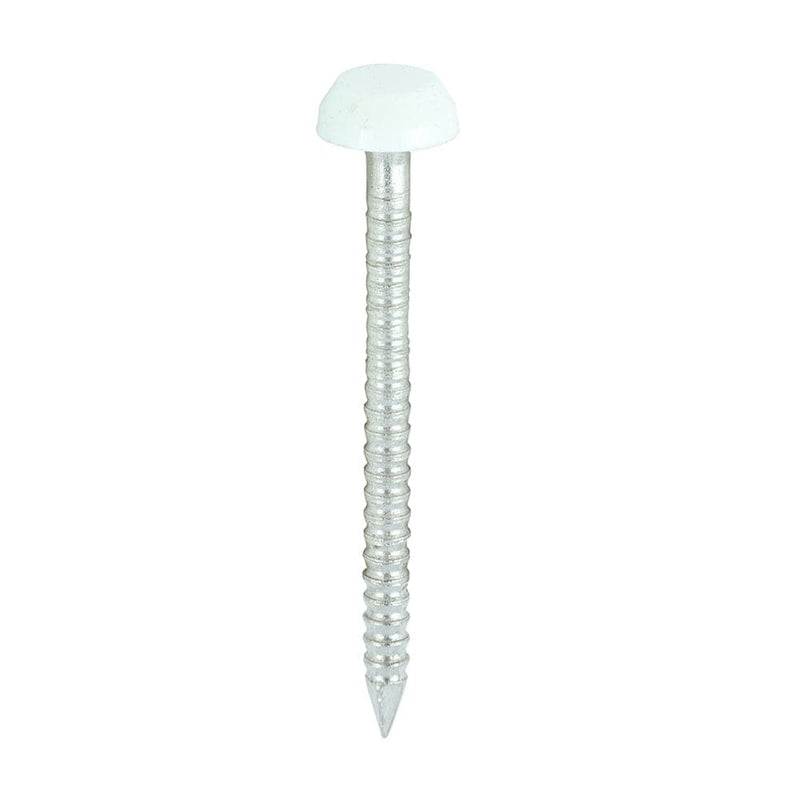 TIMCO Nails 30mm TIMCO Polymer Headed Pins A4 Stainless Steel White