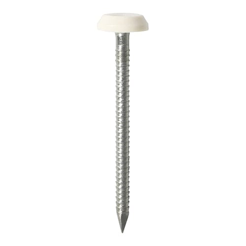 TIMCO Nails 40mm TIMCO Polymer Headed Nails A4 Stainless Steel White