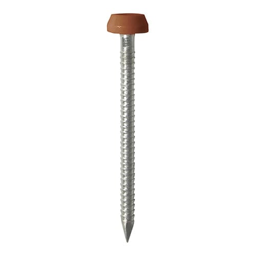 TIMCO Nails 40mm TIMCO Polymer Headed Pin A4 Stainless Steel Clay Brown