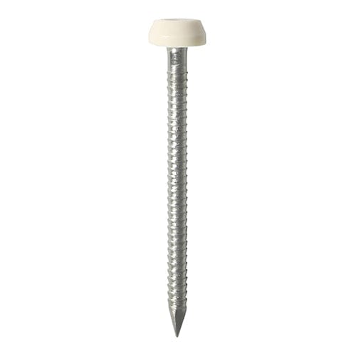 TIMCO Nails 40mm TIMCO Polymer Headed Pin A4 Stainless Steel Cream