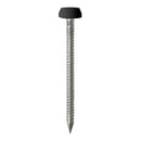 TIMCO Nails 40mm TIMCO Polymer Headed Pins A4 Stainless Steel Black