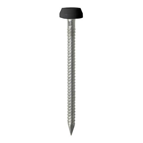 TIMCO Nails 40mm TIMCO Polymer Headed Pins A4 Stainless Steel Black