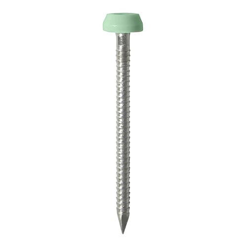 TIMCO Nails 40mm TIMCO Polymer Headed Pins A4 Stainless Steel Chartwell Green