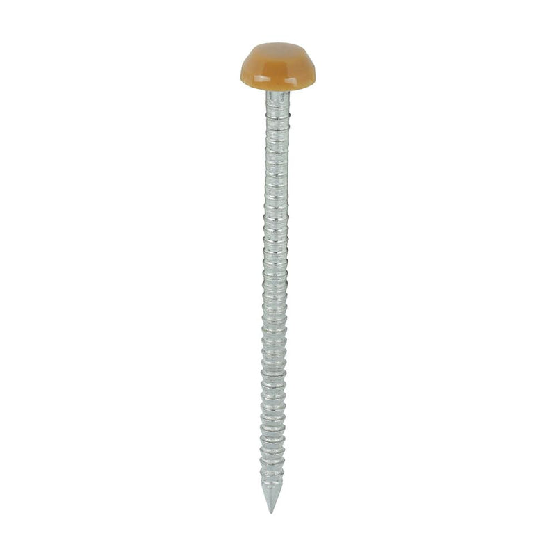 TIMCO Nails 40mm TIMCO Polymer Headed Pins A4 Stainless Steel Oak
