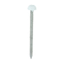 TIMCO Nails 40mm TIMCO Polymer Headed Pins A4 Stainless Steel White