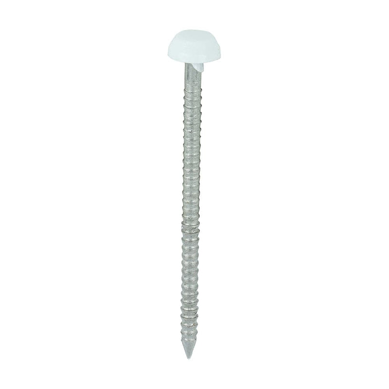 TIMCO Nails 40mm TIMCO Polymer Headed Pins A4 Stainless Steel White