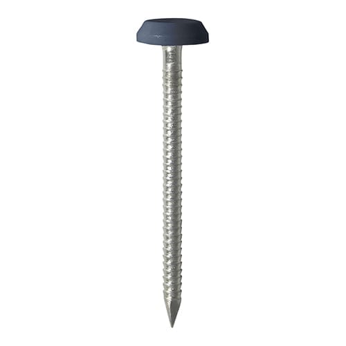 TIMCO Nails 50mm TIMCO Polymer Headed Nails A4 Stainless Steel Anthracite Grey