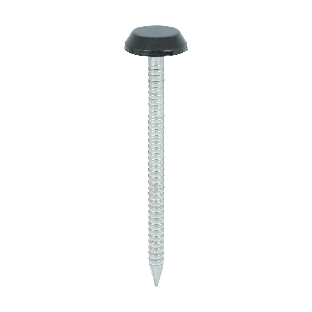 Timco Polymer Headed Nails A4 Stainless Steel Black - Pack Qty - 100 Pcs