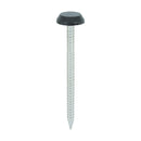 TIMCO Nails 50mm TIMCO Polymer Headed Nails A4 Stainless Steel Black