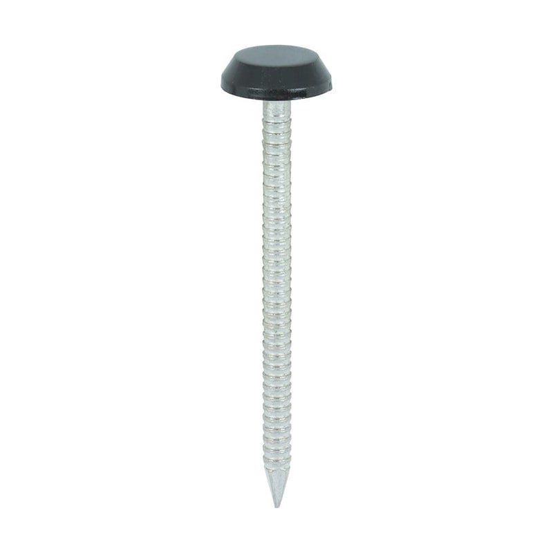 TIMCO Nails 50mm TIMCO Polymer Headed Nails A4 Stainless Steel Black