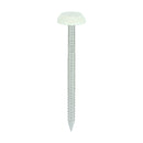 TIMCO Nails 50mm TIMCO Polymer Headed Nails A4 Stainless Steel Chartwell Green