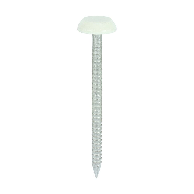 TIMCO Nails 50mm TIMCO Polymer Headed Nails A4 Stainless Steel Chartwell Green