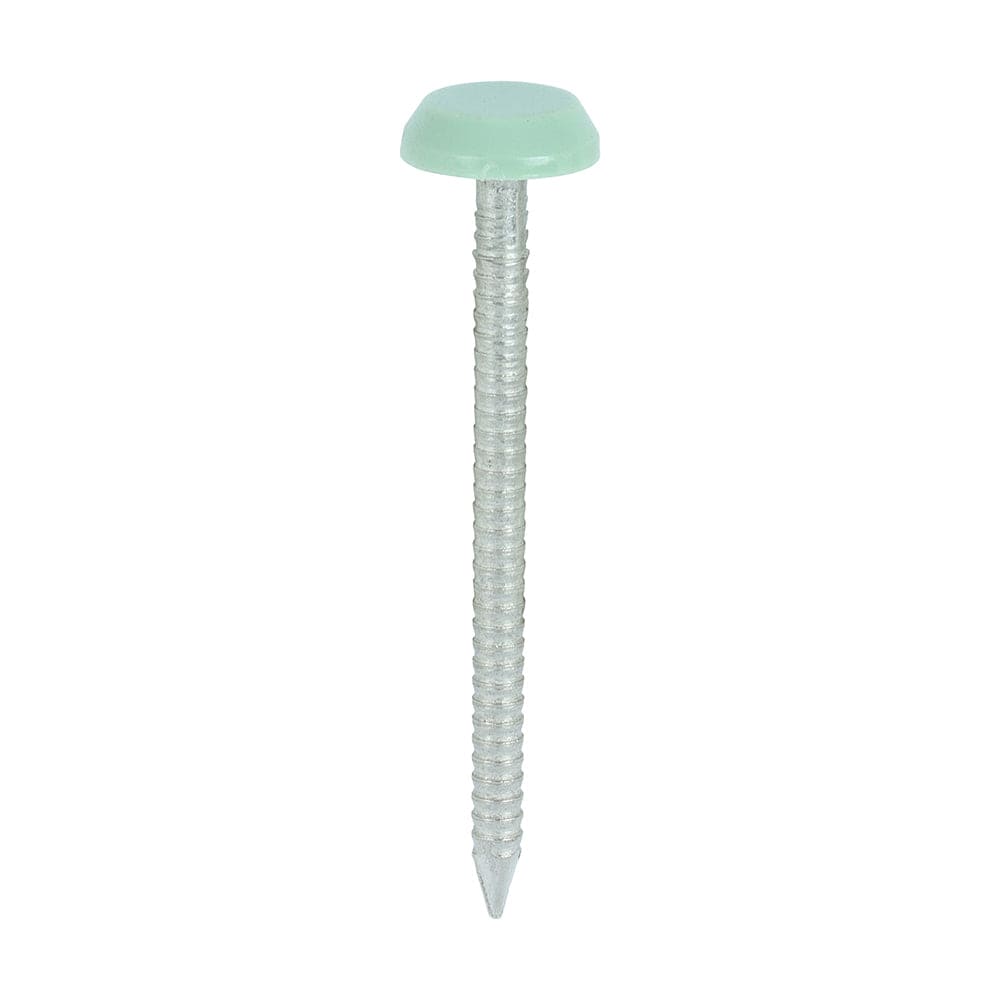 Timco Polymer Headed Nails A4 Stainless Steel Cream - Pack Qty - 100 Pcs