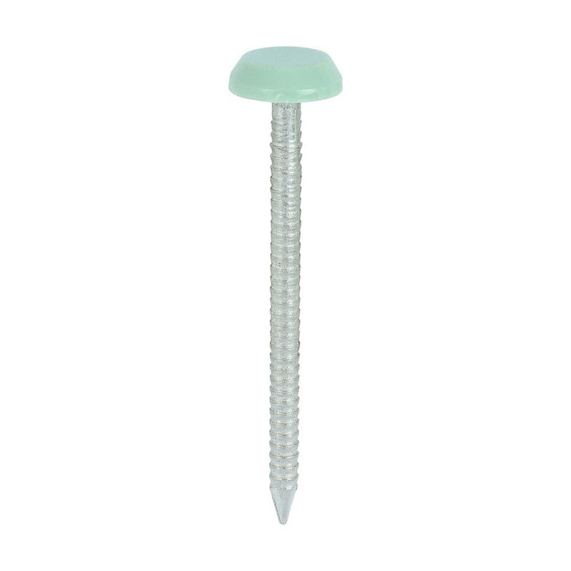 TIMCO Nails 50mm TIMCO Polymer Headed Nails A4 Stainless Steel Cream