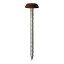 TIMCO Nails 50mm TIMCO Polymer Headed Nails A4 Stainless Steel Mahogany