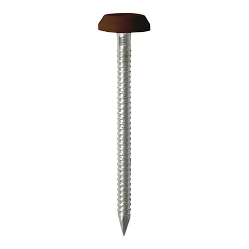 TIMCO Nails 50mm TIMCO Polymer Headed Nails A4 Stainless Steel Mahogany
