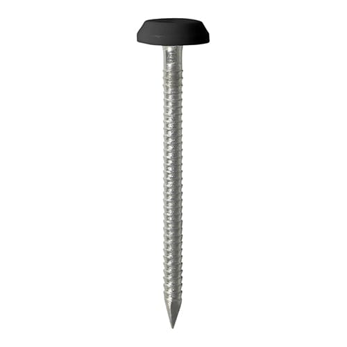 TIMCO Nails 65mm TIMCO Polymer Headed Nails A4 Stainless Steel Black