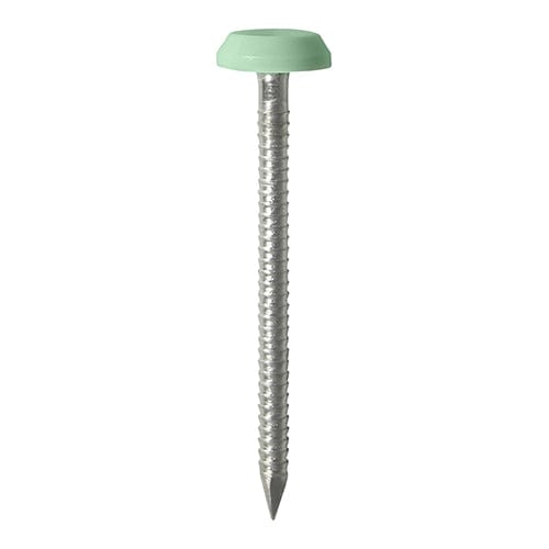 TIMCO Nails 65mm TIMCO Polymer Headed Nails A4 Stainless Steel Chartwell Green