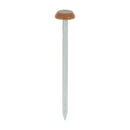TIMCO Nails 65mm TIMCO Polymer Headed Nails A4 Stainless Steel Clay Brown