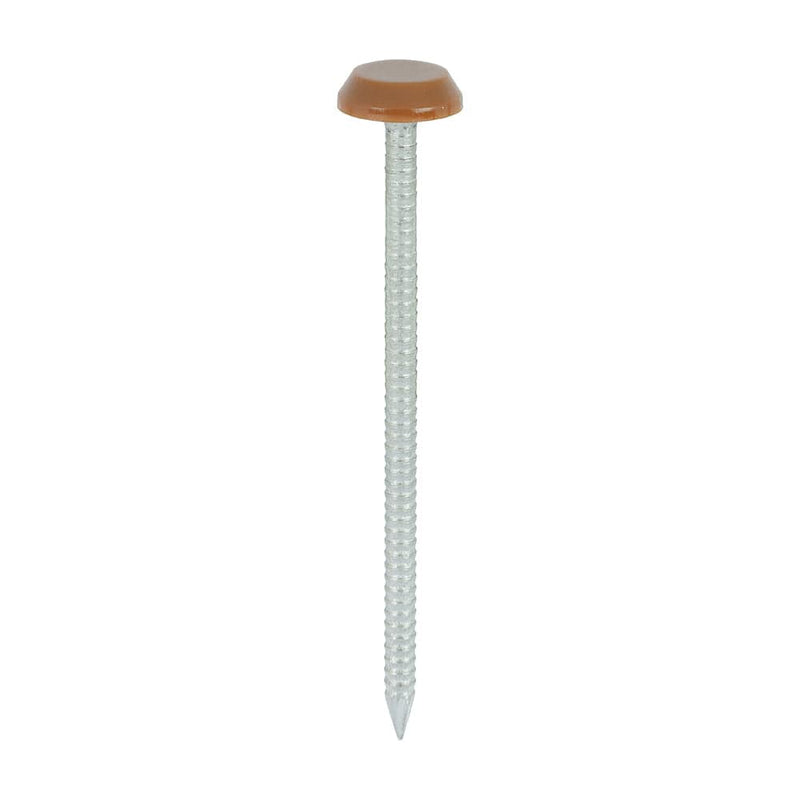 TIMCO Nails 65mm TIMCO Polymer Headed Nails A4 Stainless Steel Clay Brown