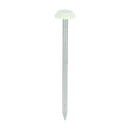 TIMCO Nails 65mm TIMCO Polymer Headed Nails A4 Stainless Steel Cream