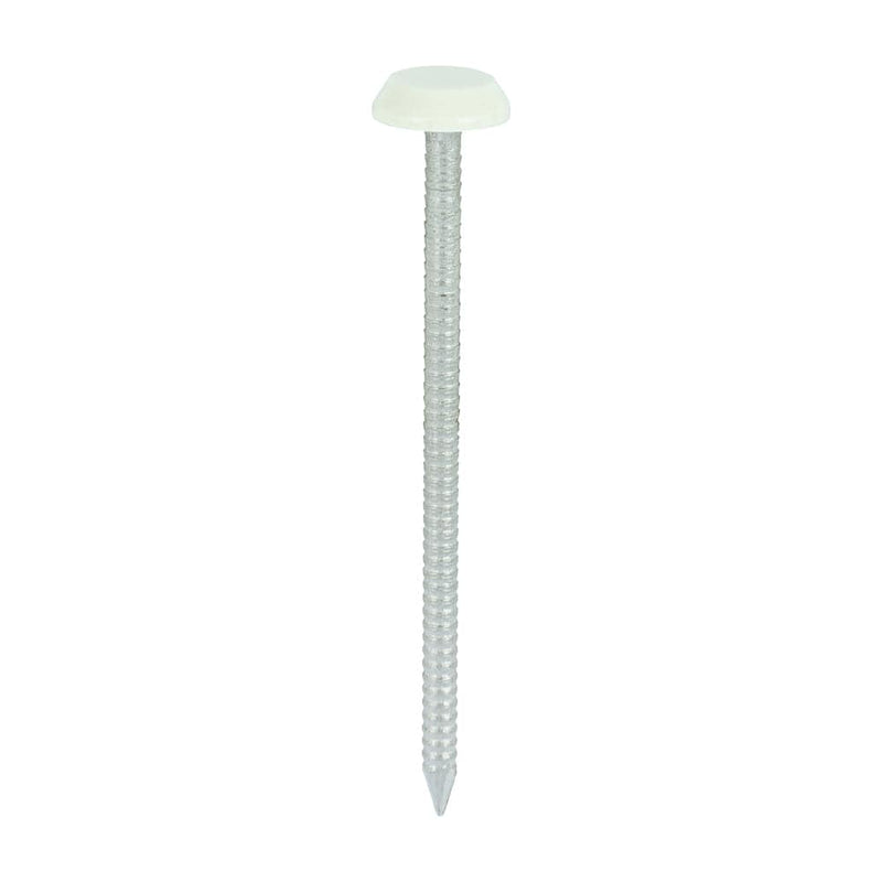 TIMCO Nails 65mm TIMCO Polymer Headed Nails A4 Stainless Steel Cream
