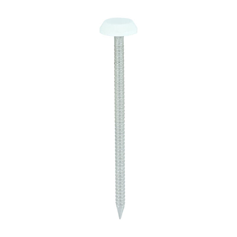 TIMCO Nails 65mm TIMCO Polymer Headed Nails A4 Stainless Steel White