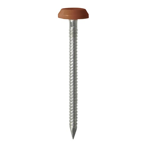 TIMCO Nails TIMCO Polymer Headed Nails A4 Stainless Steel Clay Brown