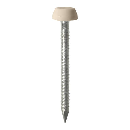 Timco Polymer Headed Pins A4 Stainless Steel Beige - 25Mm - Pack Qty - 250 Pcs