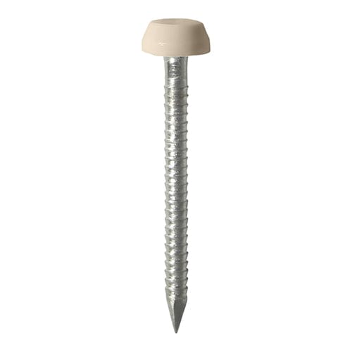 TIMCO Nails TIMCO Polymer Headed Pins A4 Stainless Steel Beige - 25mm
