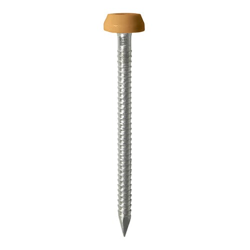 TIMCO Nails TIMCO Polymer Headed Pins A4 Stainless Steel Oak