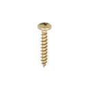TIMCO Screws 3.5 x 12 TIMCO Classic Multi-Purpose Pan Head Gold Woodscrews