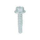 TIMCO Screws 5.5 x 25 TIMCO Self-Drilling Light Section Screws Exterior Silver